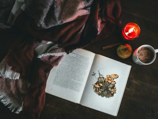 red textile near book on table